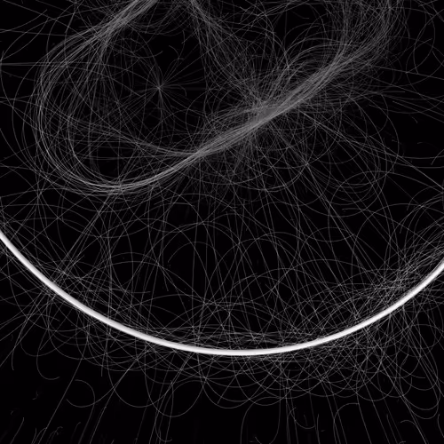 Phototaxis #359