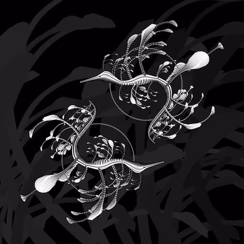 Item #160000259 Media