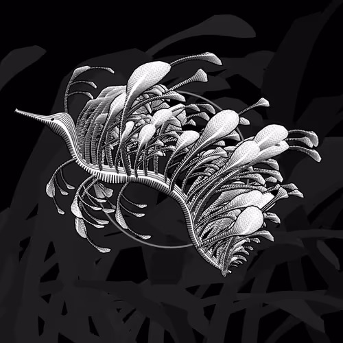 Item #160000892 Media