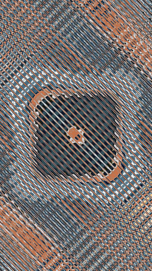 Item #172000628 Media