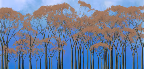 Item #254000091 Media