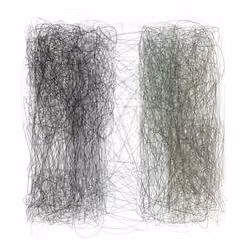 Scribbled Boundaries #818