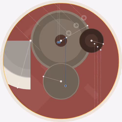 Item #140000529 Media