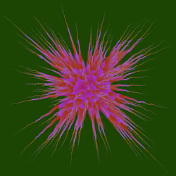 Star Flower #405