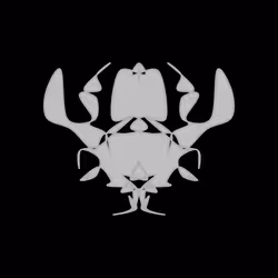 Cryptoblots #884
