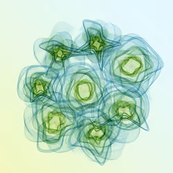 Flowers #4721