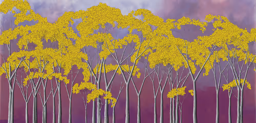 Item #254000107 Media