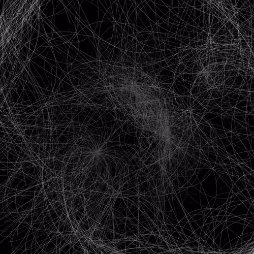 Phototaxis #719