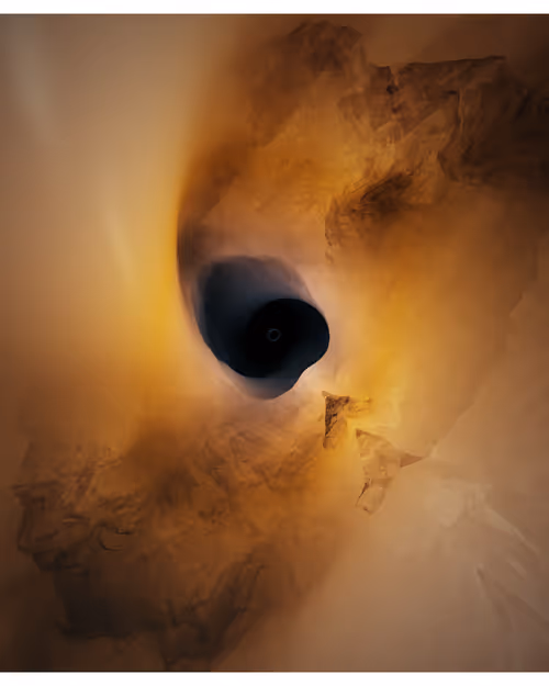 Item #217000234 Media