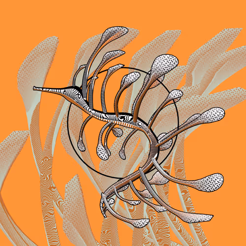 Item #160000579 Media