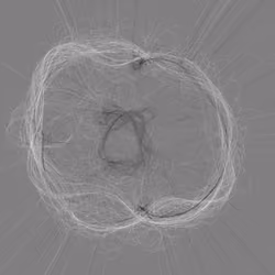 Phototaxis #714