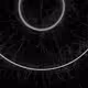 Phototaxis #302