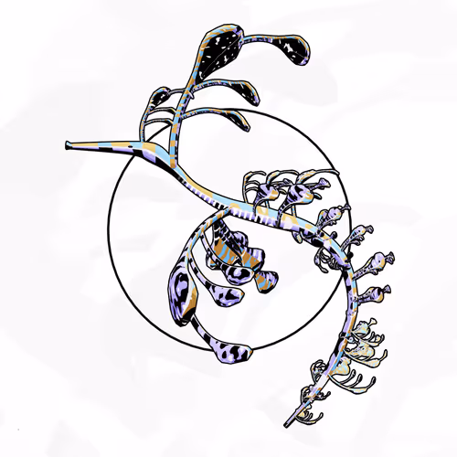 Item #160000091 Media