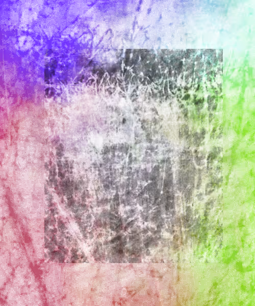 Item #317000188 Media