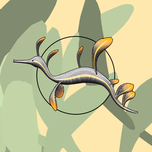 Seadragons #444