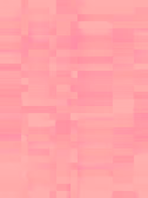 Item #332000114 Media