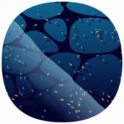 Item #107000088 Media