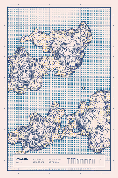 Item #347000011 Media