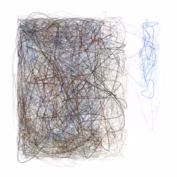 Scribbled Boundaries #908