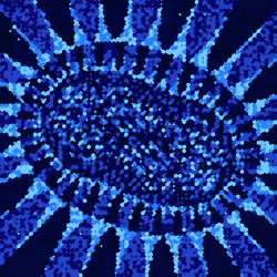Thereidoscope #146