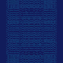 Warp #263