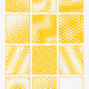 257000010