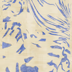 Anticyclone #637