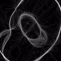Phototaxis #885