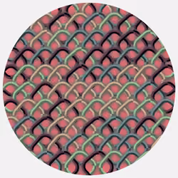 Ouroboros #230