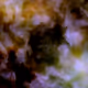 Pigments #566
