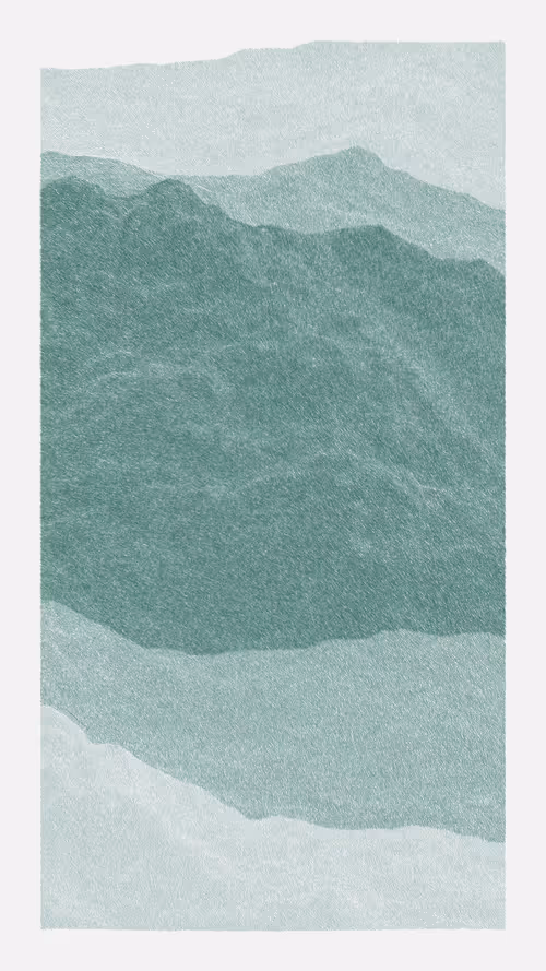 Meridian #980