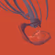 268000100