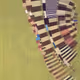 367000367