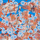 Fragments of an Infinite Field #168