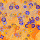 Fragments of an Infinite Field #326