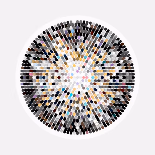 Transitions By Jason Ting X Matt Bilfield