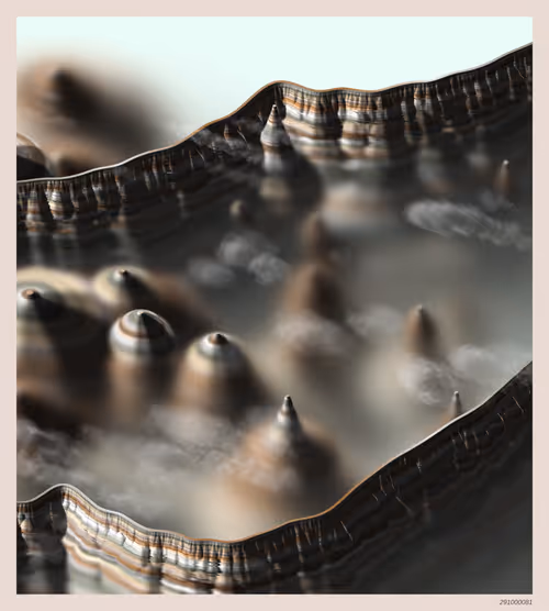 Item #291000081 Media