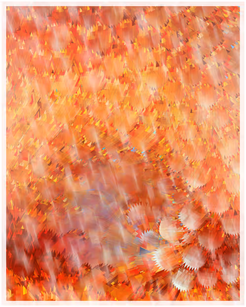 Item #344000253 Media