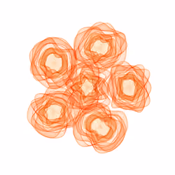 Flowers #5997