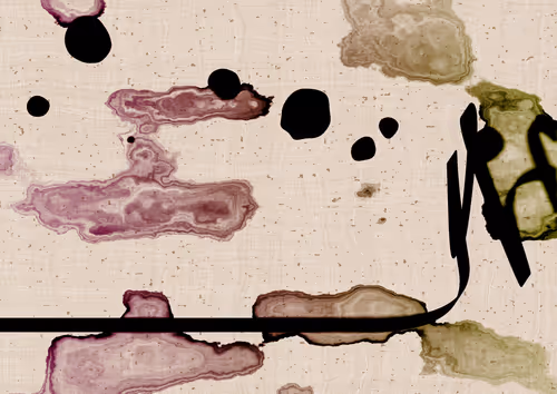 Item #328000097 Media