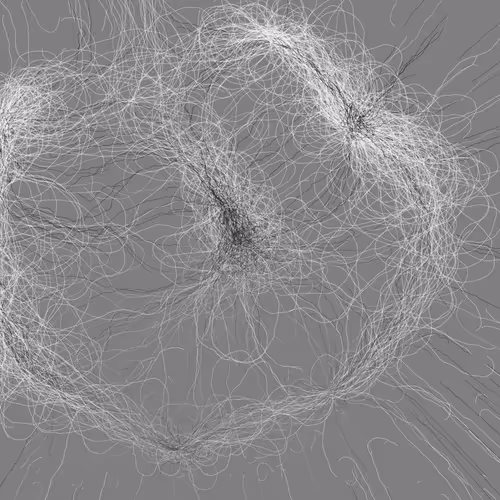 Phototaxis #981