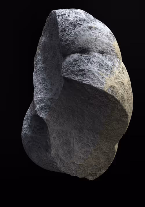 Item #327000012 Media