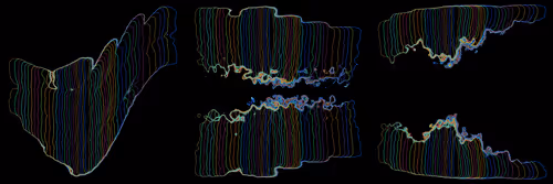 Item #302000197 Media