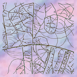 Maps of Nothing #542