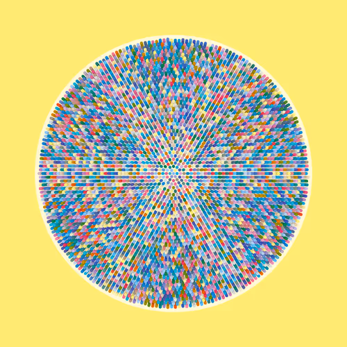 Transitions By Jason Ting X Matt Bilfield