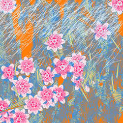 Fragments of an Infinite Field #149