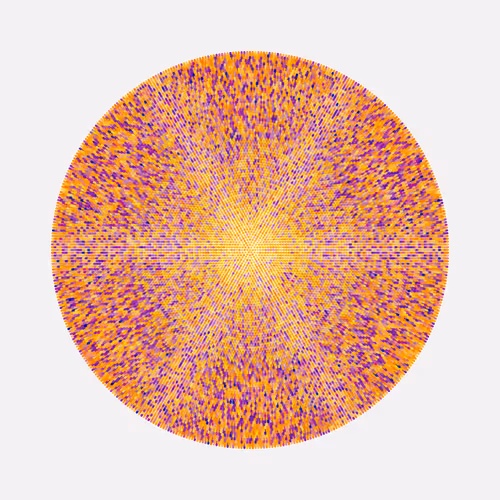 Transitions By Jason Ting X Matt Bilfield
