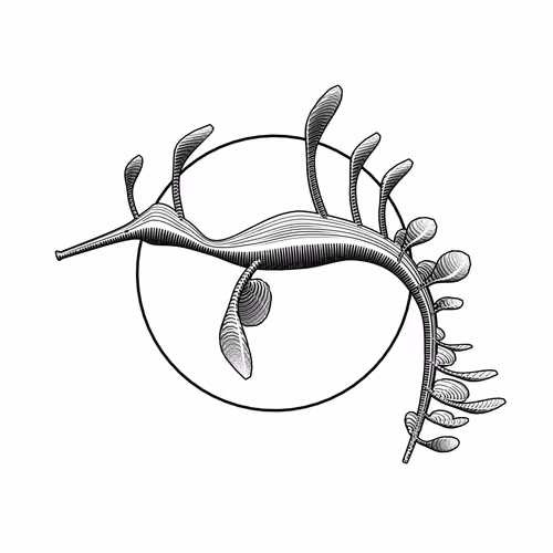 Item #160000112 Media