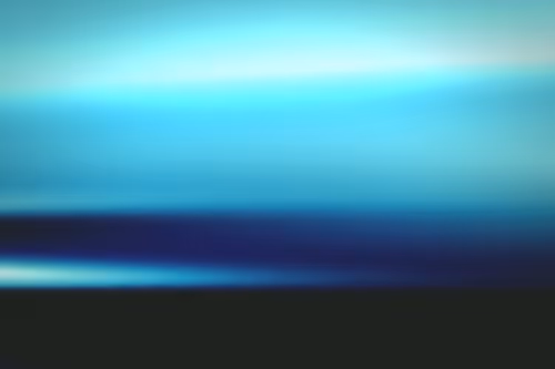 Item #296000440 Media