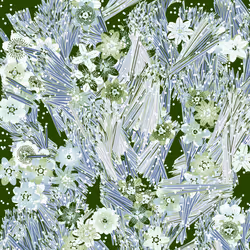 Fragments of an Infinite Field #384